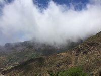 20150520 013 Gran Canaria Nebelwald bei Artenara
