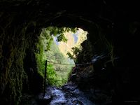 20191111 027 Madeira Levada-Tour zum Caldeirao Verde