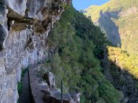 20191111 033 Madeira Levada-Tour zum Caldeirao Verde