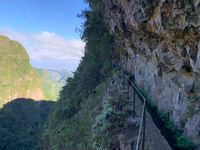 20191111 036 Madeira Levada-Tour zum Caldeirao Verde